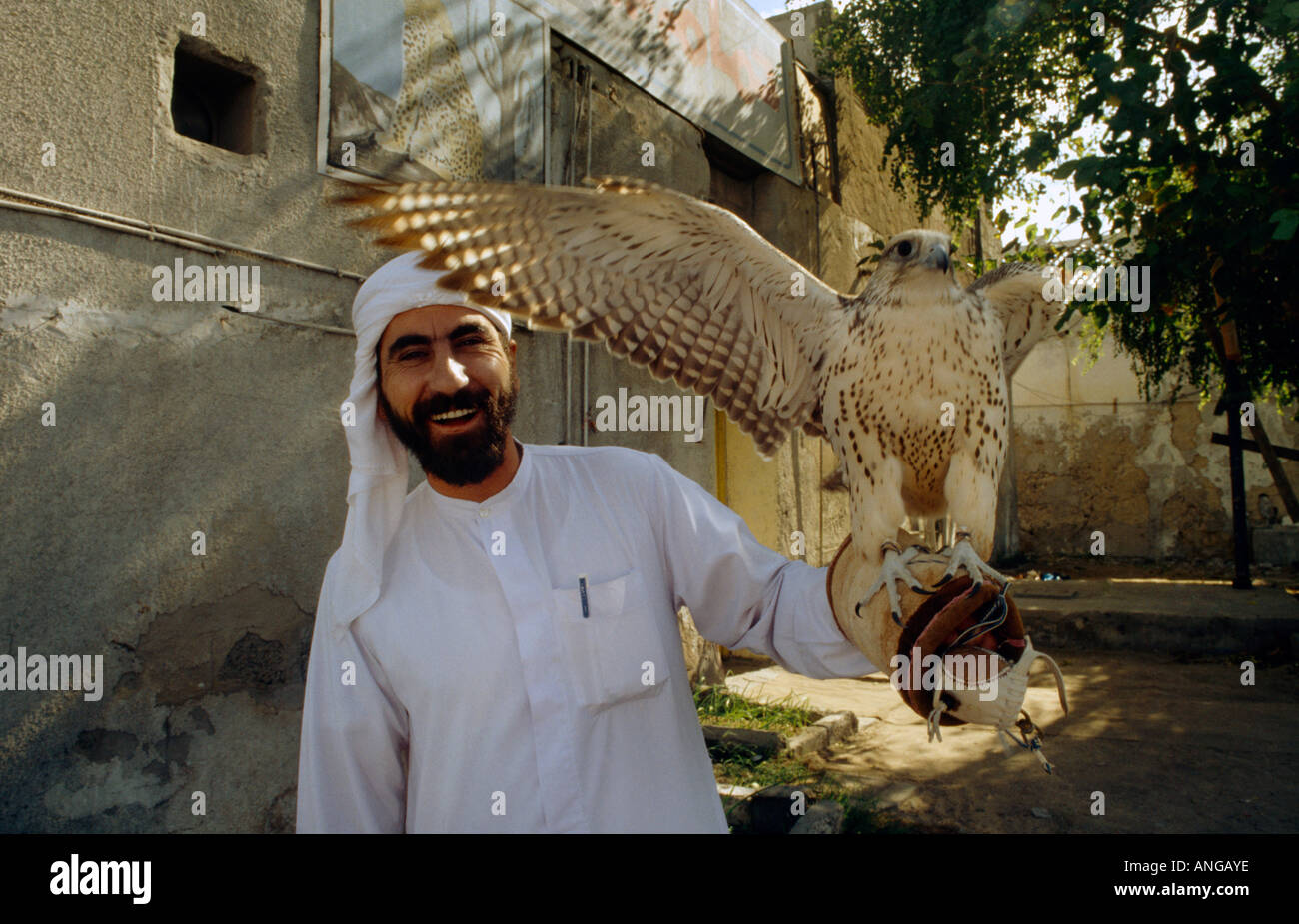 Sharjah UAE Man et Hawk Banque D'Images