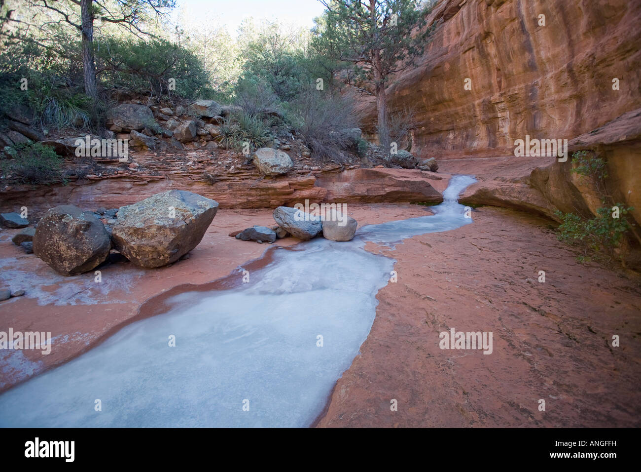 Un ruisseau gelé traverse canyon off Schnebly Hill Road Arizona Sedona Banque D'Images