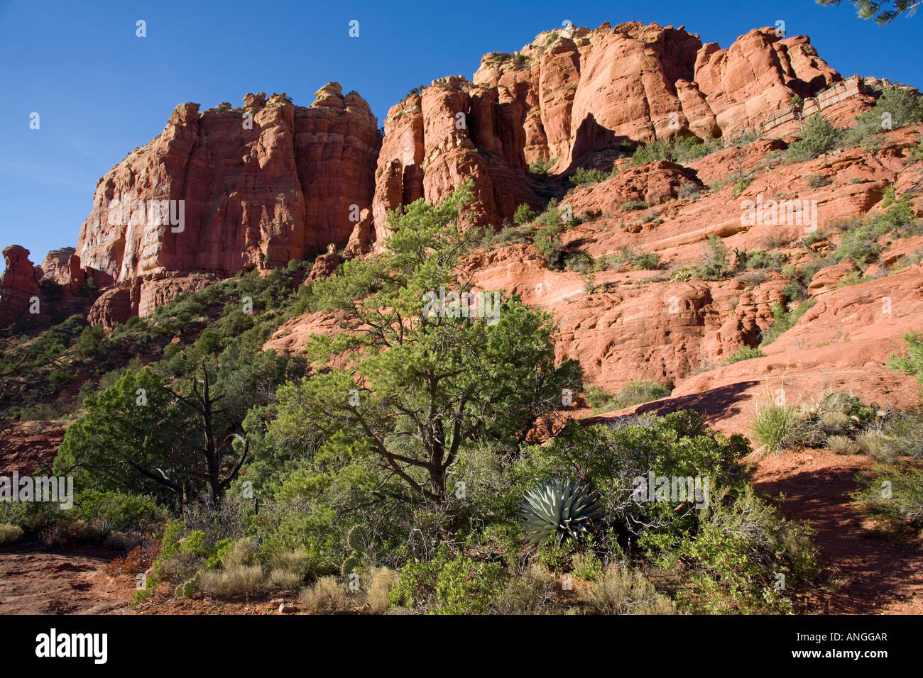 Les falaises rouges de Schnebly Hill Road Arizona Sedona Banque D'Images