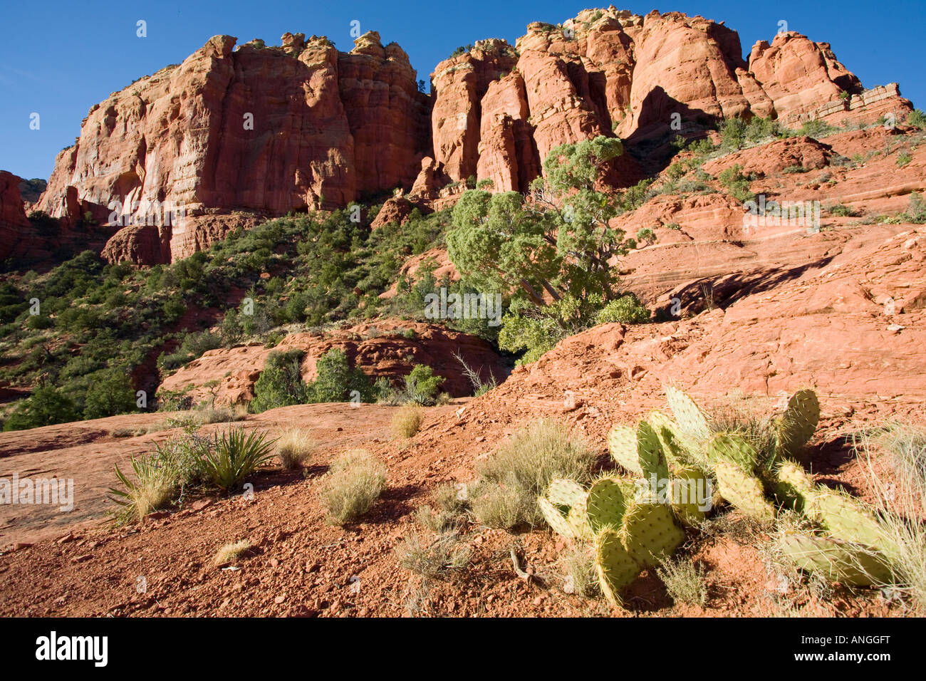 Les falaises rouges off Schnelby Hill Road Arizona Sedona Banque D'Images