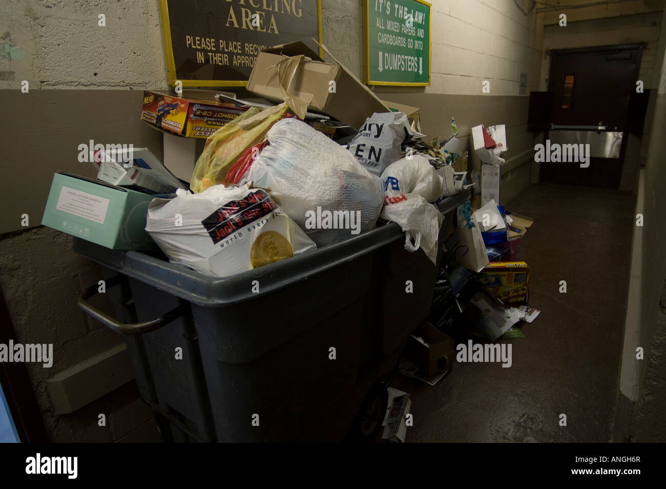 Un conteneur rempli de détritus de la Noël se trouve dans le domaine de l'utilitaire d'un immeuble d'appartements à New York Banque D'Images