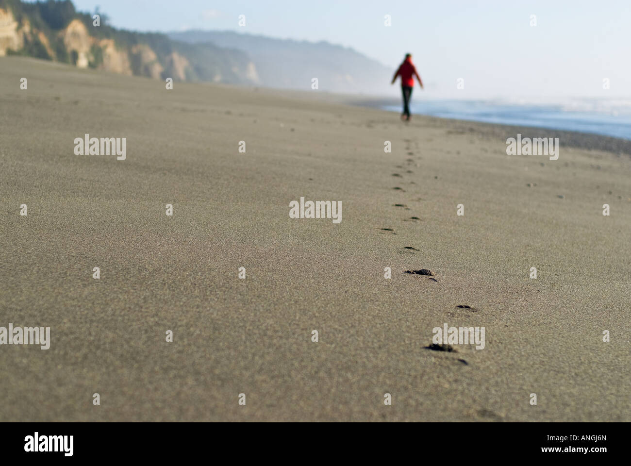Empreintes de femme marchant sur la plage vide Bluffs or camping sur la côte de la Californie du nord des prairies isolées dans des séquoias Banque D'Images