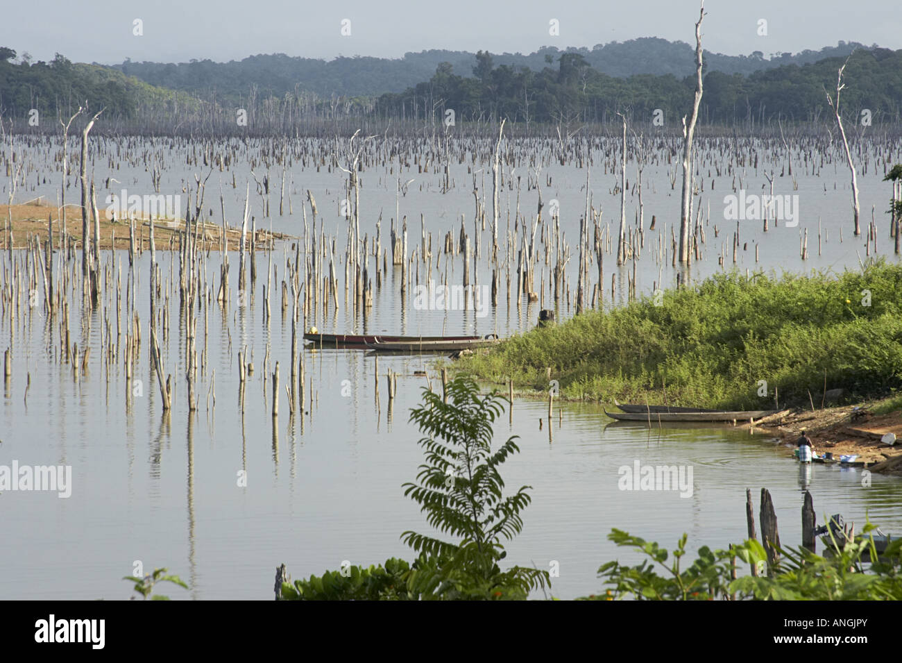 Le réservoir de Rhône-Alpes dans l'intérieur du Suriname (vue du village d'Lebidoti marron. Banque D'Images