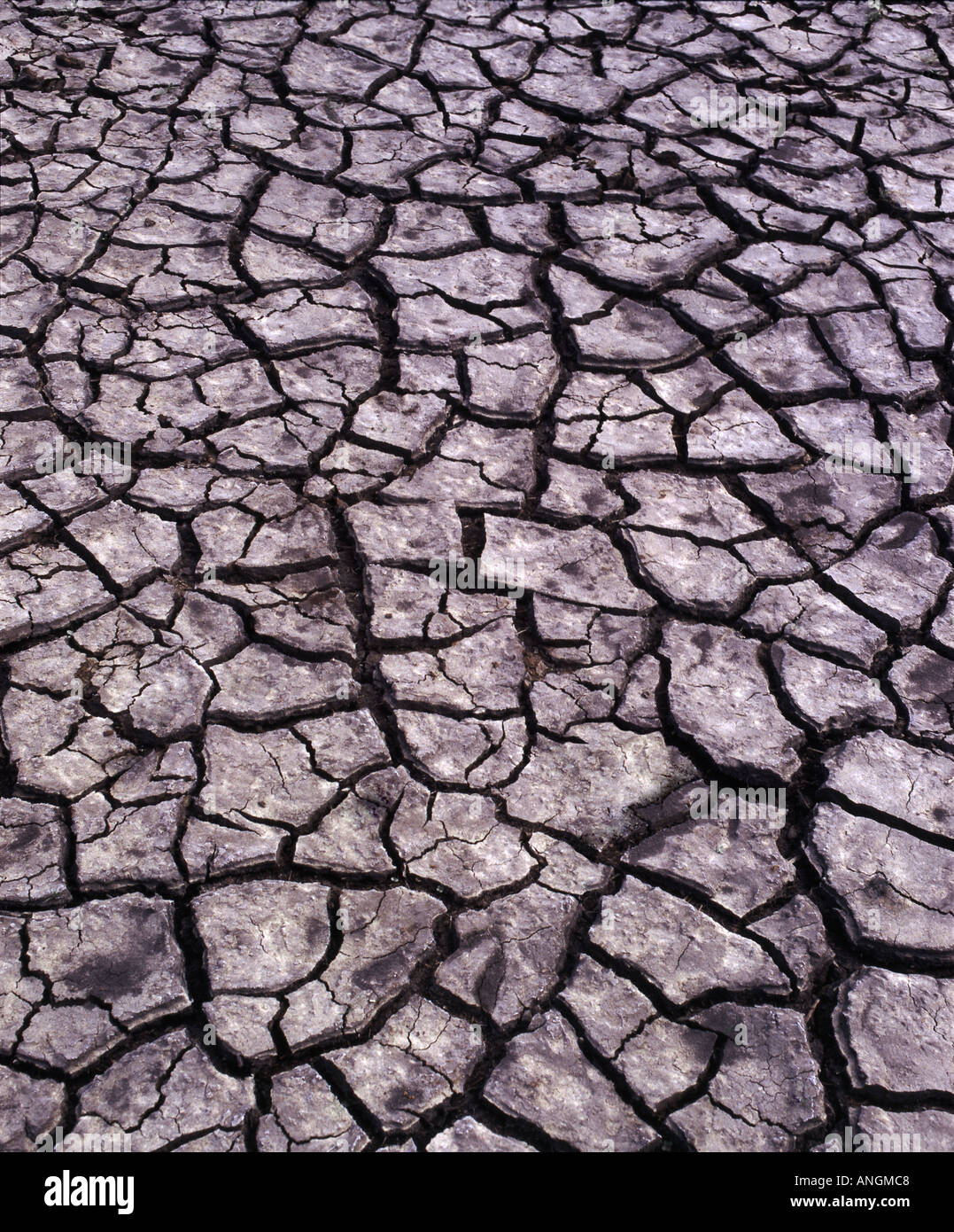 Un lit de rivière fissuré séché résultant du réchauffement planétaire Banque D'Images Un lit de rivière fissuré séché résultant du réchauffement planétaire Banque D'Images