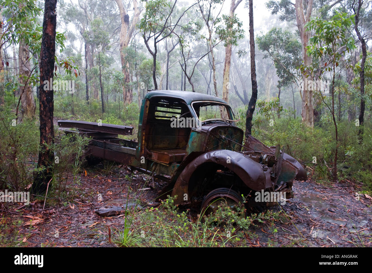 Camion abandonné wreck in forest Banque D'Images