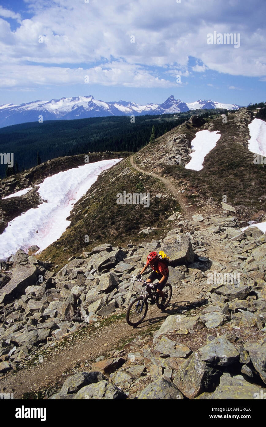 Jeune femme vtt le sentier du Bassin Standard Keystone à Revelstoke, British Columbia, Canada Banque D'Images