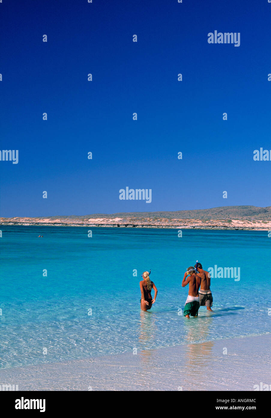 Baie Turquoise, Ningaloo Marine Park, Australie occidentale, Australie Banque D'Images