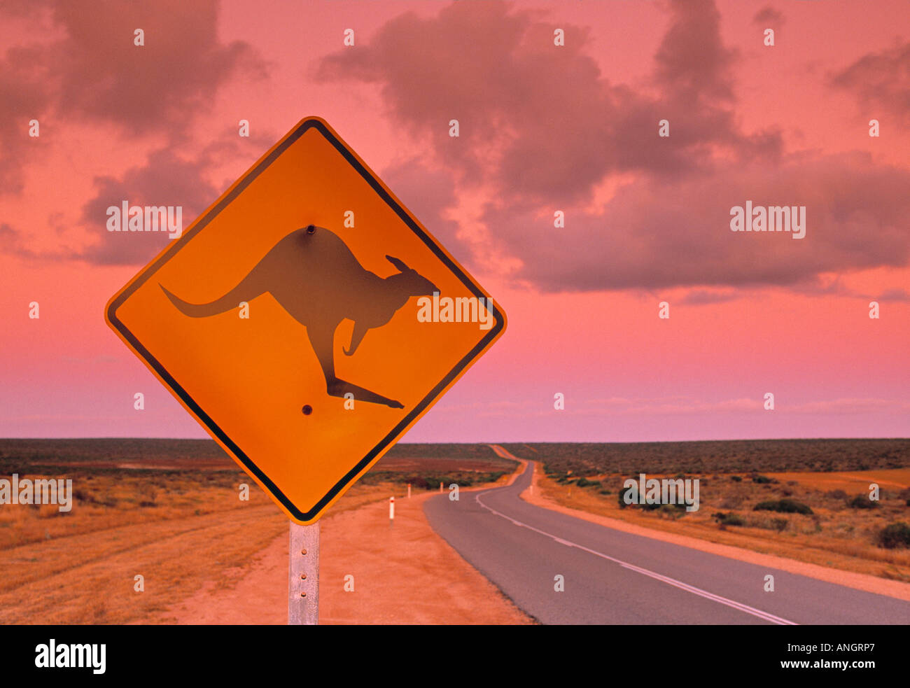 Road Sign, Shark Bay National Park, Australie occidentale, Australie Banque D'Images