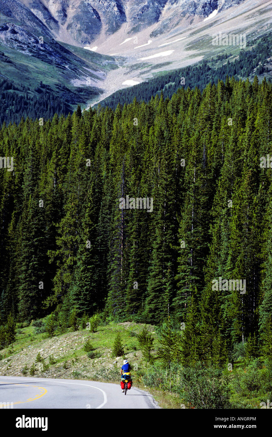 Randonnée à vélo en dessous le mont Hector, Banff National Park, Alberta, Canada. Banque D'Images