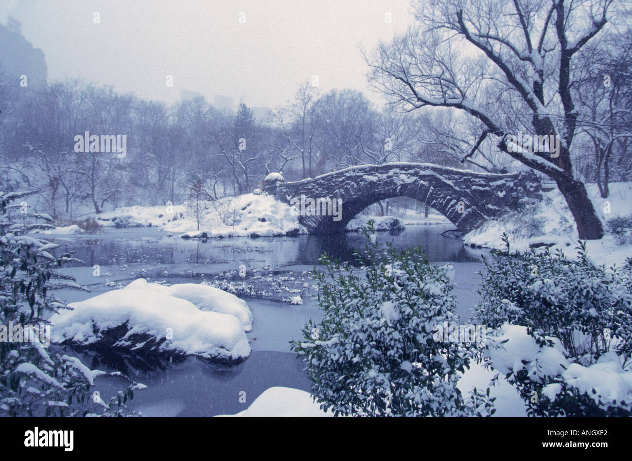 New York Central Park Gapstow Bridge et le Pondcouvert de neige et de glace. Sanctuaire de la nature de Hallett Banque D'Images