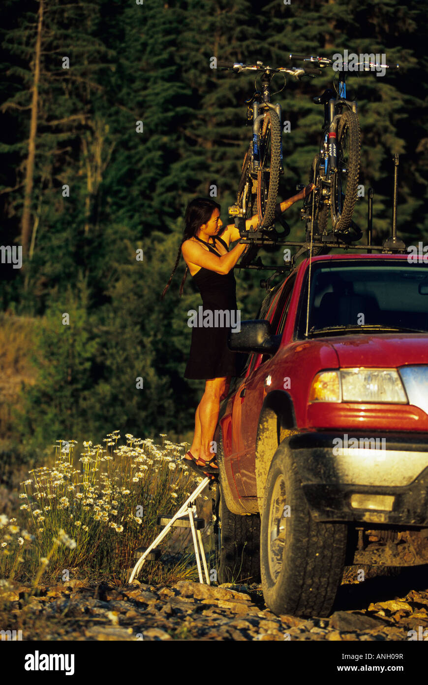 Une jeune femme la sécurisation des vélos de montagne sur le toit du camion, Revelstoke, British Columbia, Canada. Banque D'Images