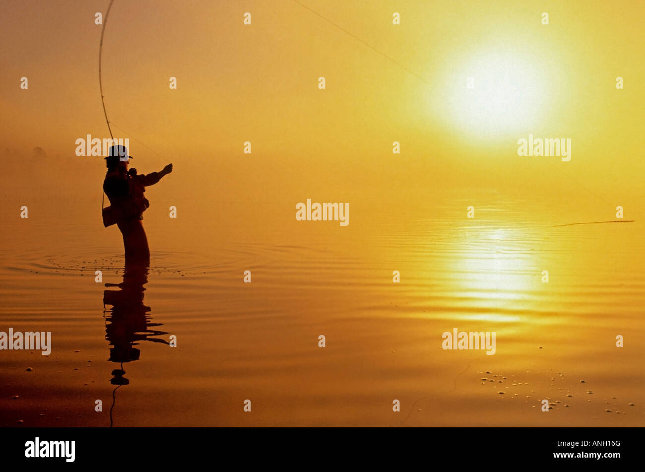 La voler-pêche à l'aube du 108 Mile Lake, British Columbia, Canada. Banque D'Images