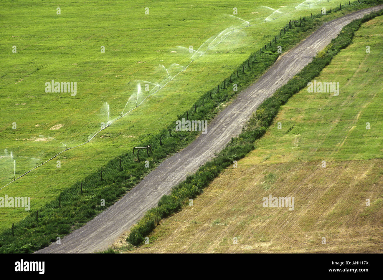 Route à travers l'arrière-pays de la région de Cariboo, ranch irriguées, en Colombie-Britannique, Canada. Banque D'Images