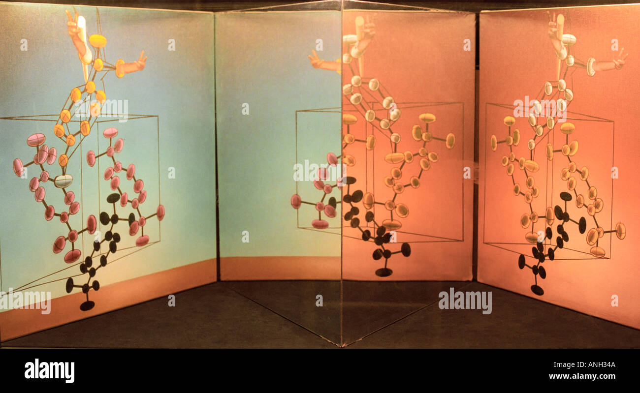 Structure de l'ADN, travail stéréoscopique, théâtre, Musée Dali de Figueres, Espagne Banque D'Images