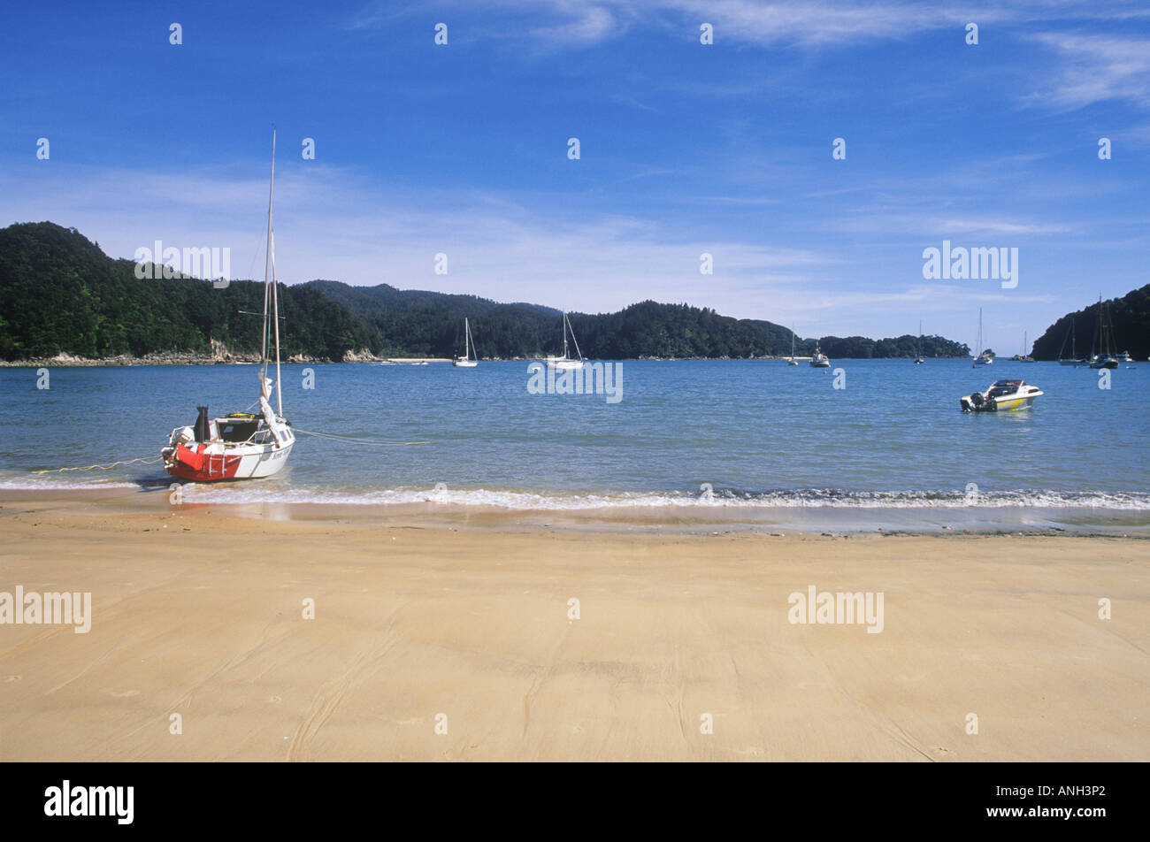 Parc national Abel Tasman, île du Sud, Nouvelle-Zélande Banque D'Images