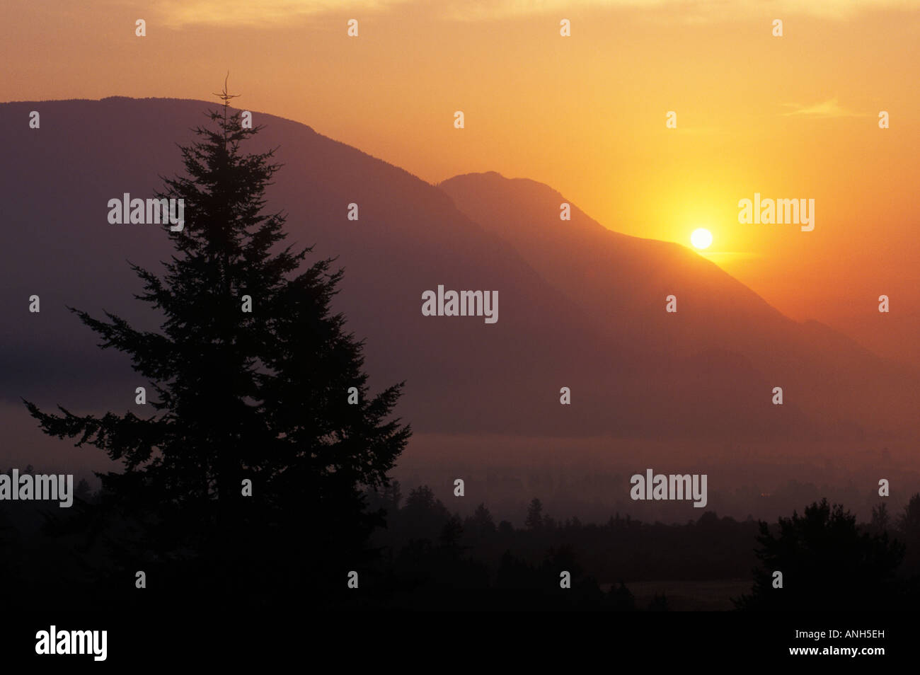 Lever du soleil et le brouillard à partir de la Mission, Colombie-Britannique, Canada. Banque D'Images