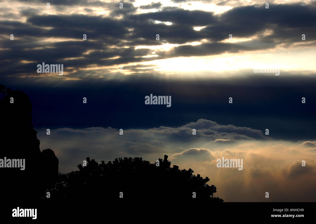 Les nuages bas en Chine Huang Shan mountain Banque D'Images