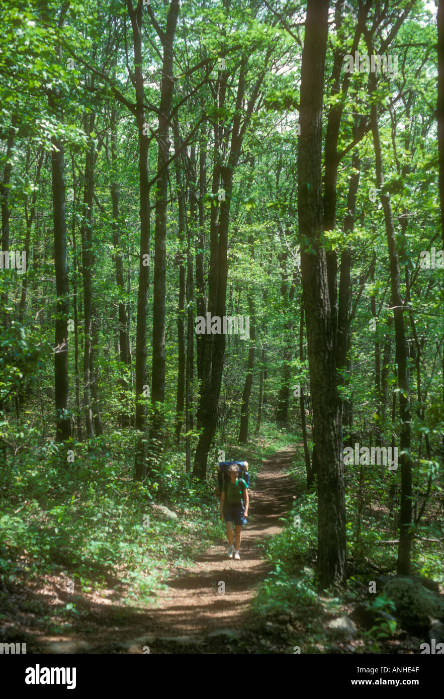 Backpacker à Shenandoah National Park Banque D'Images