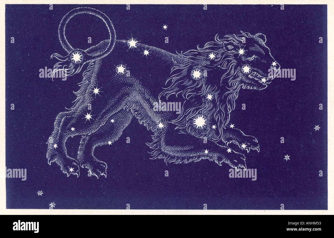 Signe astrologique Lion Norton Banque D'Images