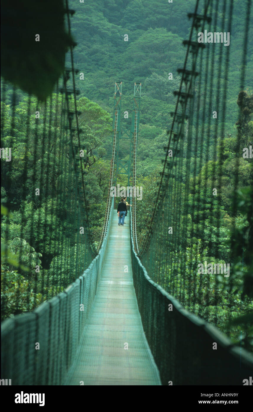 Complexe de Selvatura au Costa Rica. Pont suspendu au-dessus de la forêt de nuages Banque D'Images