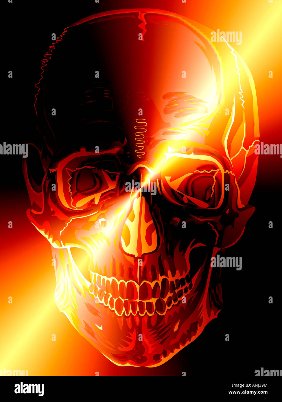Crâne humain x-ray modifié numériquement Banque D'Images