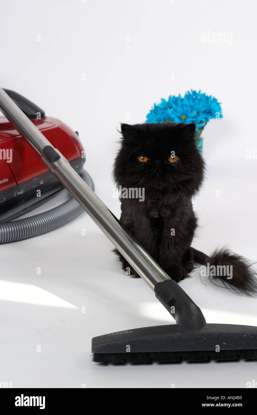 Persian Miniature Banque D Image Et Photos Page 3 Alamy