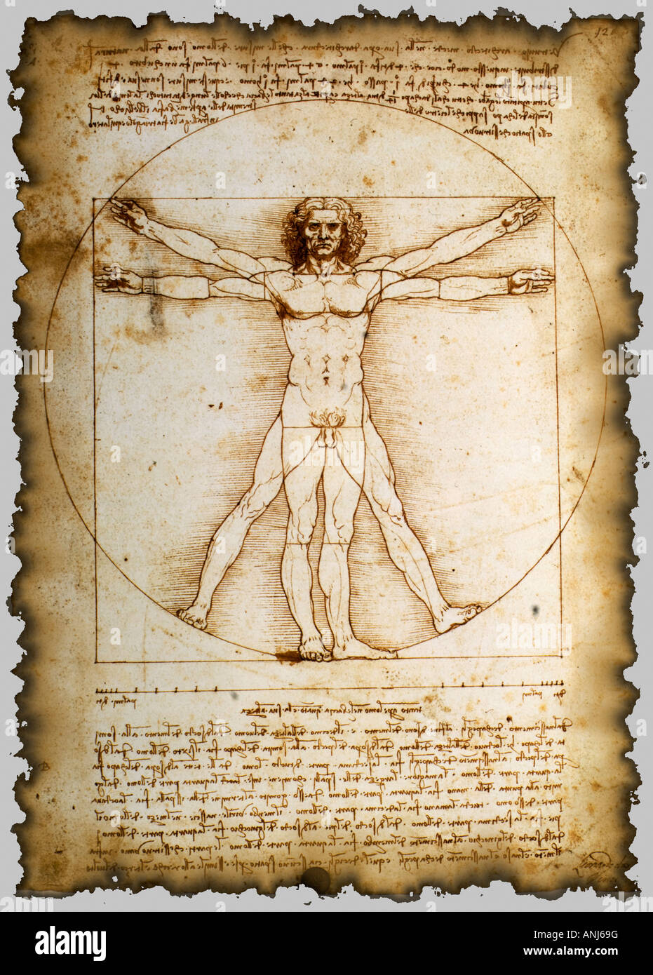 Homme de Vitruve par Leonardo da Vinci avec bords brûlés Banque D'Images