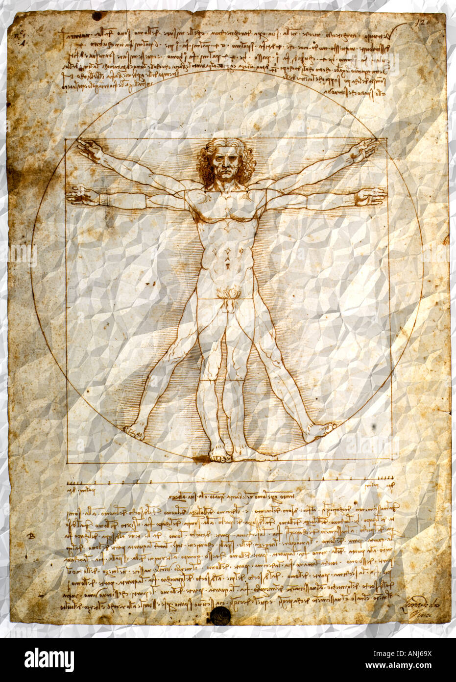 Homme de Vitruve par Leonardo da Vinci sur papier froissé Banque D'Images