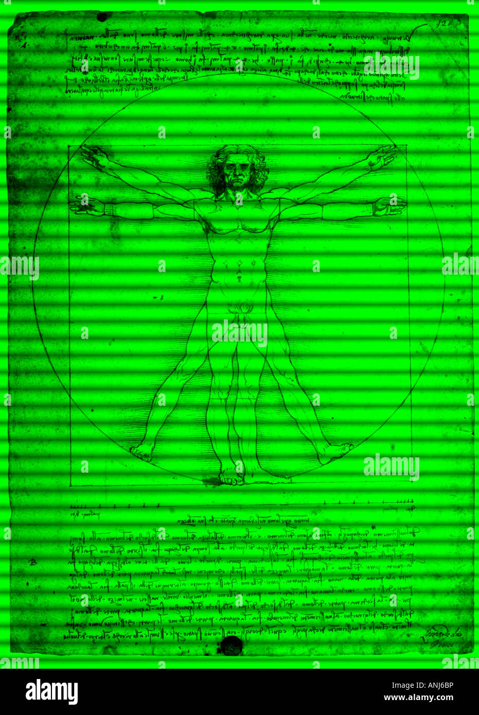 L'homme de Vitruve de Léonard de Vinci comme vu sur une caméra de sécurité de vision de nuit Banque D'Images