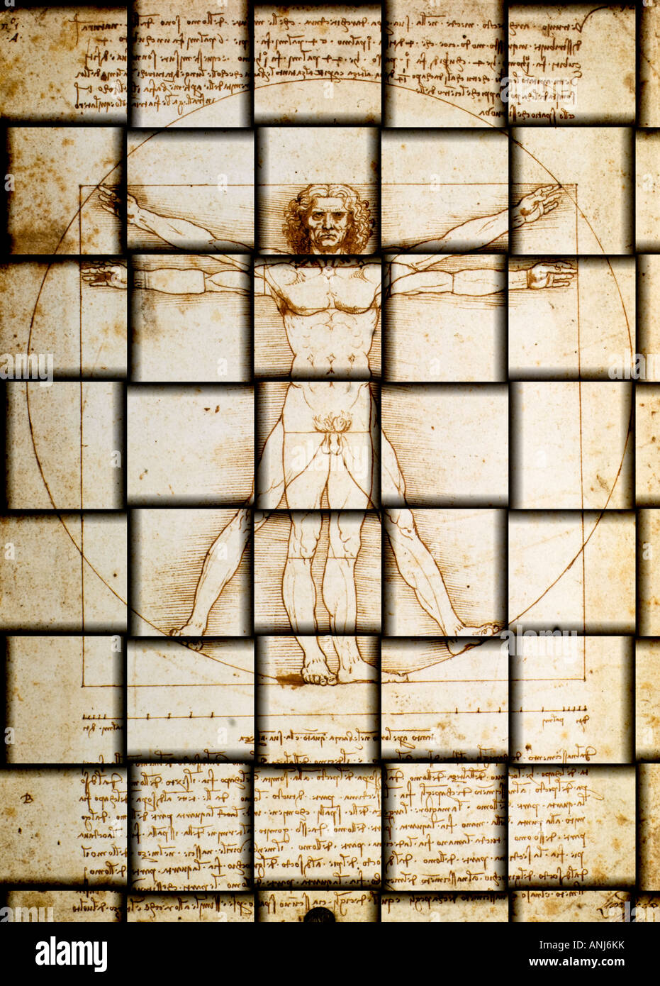 Homme de Vitruve par Leonardo da Vinci sur sol carrelé Banque D'Images