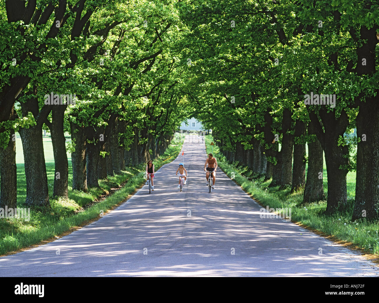 Famille cycliste sur route de campagne bordée d'arbres Banque D'Images