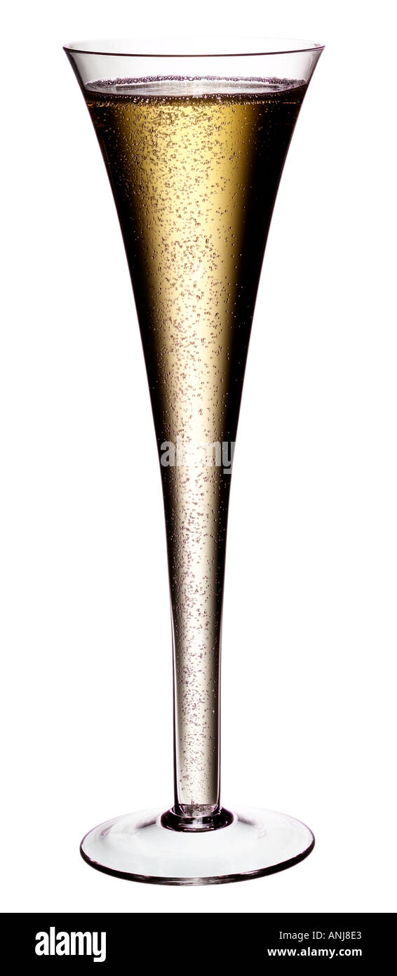 Flûte à champagne ON WHITE Banque D'Images