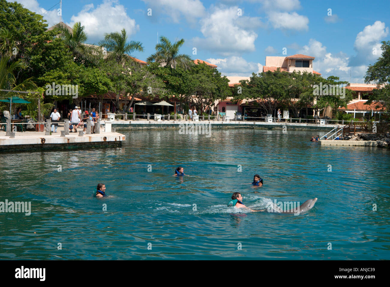 Rencontre de dauphins, Puerto Aventuras, Riviera Maya, péninsule du Yucatan, Mexique Banque D'Images