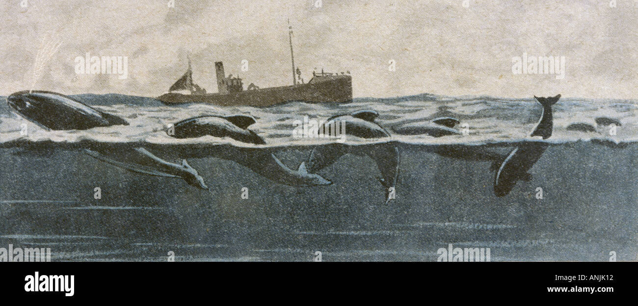 Folklore Serpent de mer Banque D'Images