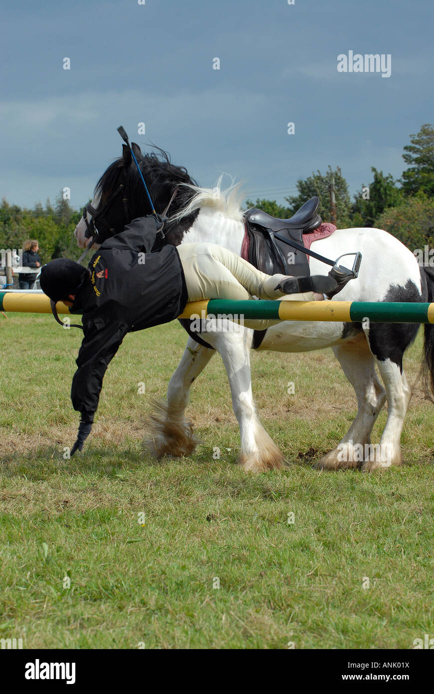 Rider projetés de tomber de cheval dans les airs Banque D'Images