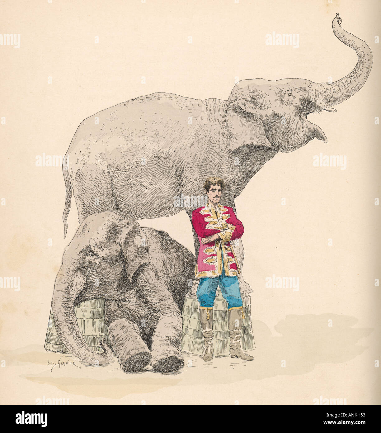 Les éléphants de cirque Garnier Banque D'Images