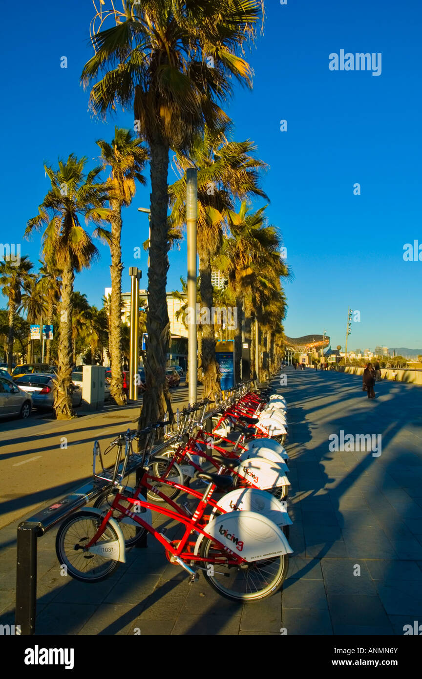 Pour l'utilisation gratuite des vélos à la plage de Barceloneta à Barcelone Espagne Europe Banque D'Images