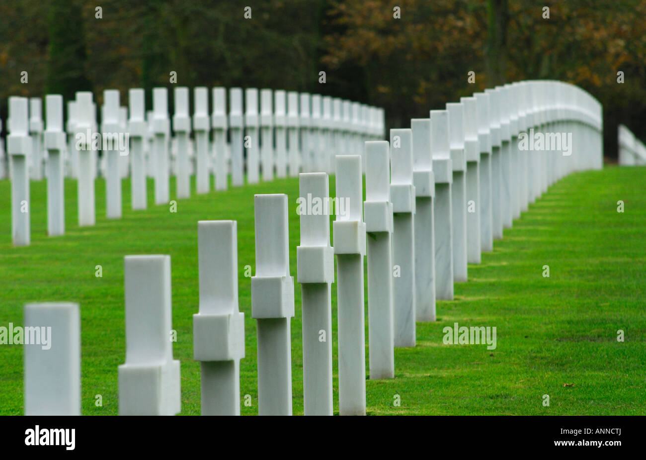 Tombes de guerre en Normandie Cimetière Américain, Colleville-sur-Mer, Normandie, France Banque D'Images