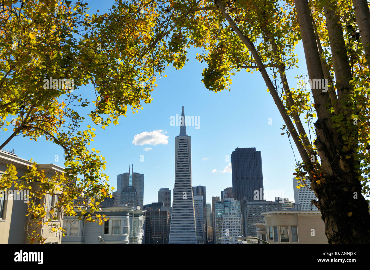 Quartier financier et la pyramide Transamerica, San Francisco CA Banque D'Images