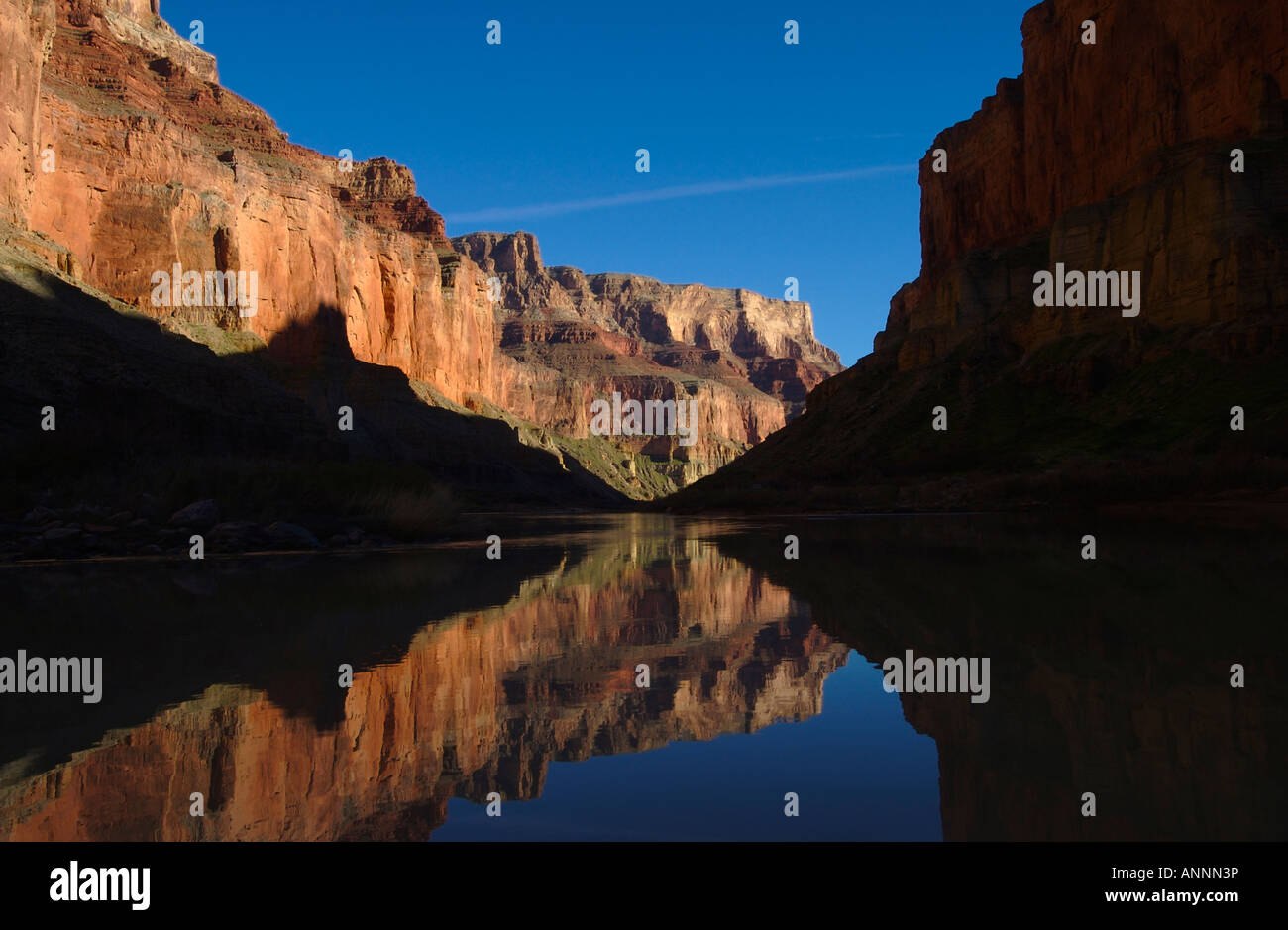 Reflet de la falaise de grès rouge des murs dans le fleuve Colorado dans le Parc National du Grand Canyon, Arizona, United States Banque D'Images