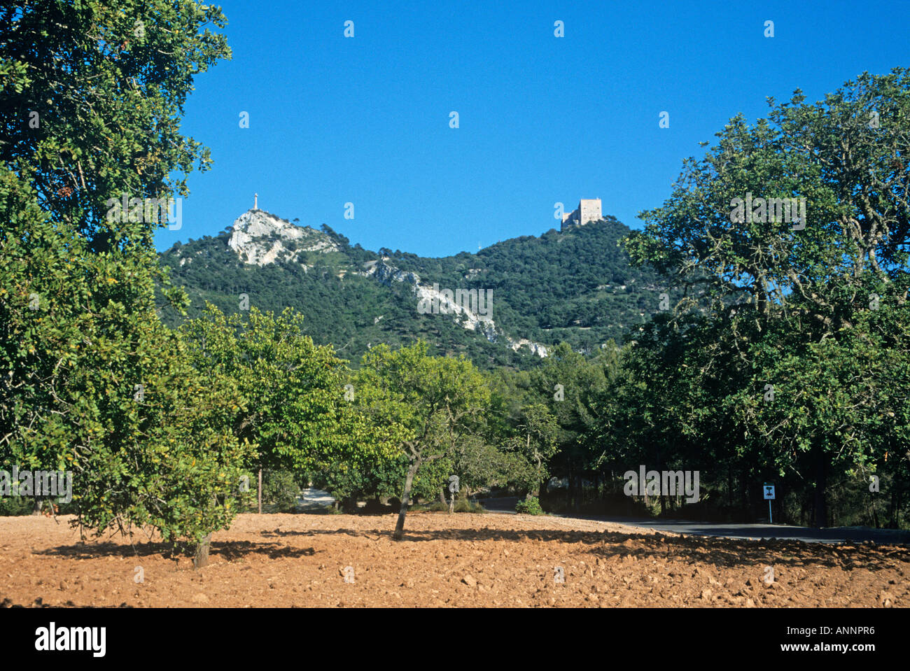 Vue d'au milieu d'une orangeraie au pied de la colline le Santuari de Cura le plus haut des trois ermitages la première fondée par Ramon Llull en 1275 sur les pentes du Puig de Randa Banque D'Images