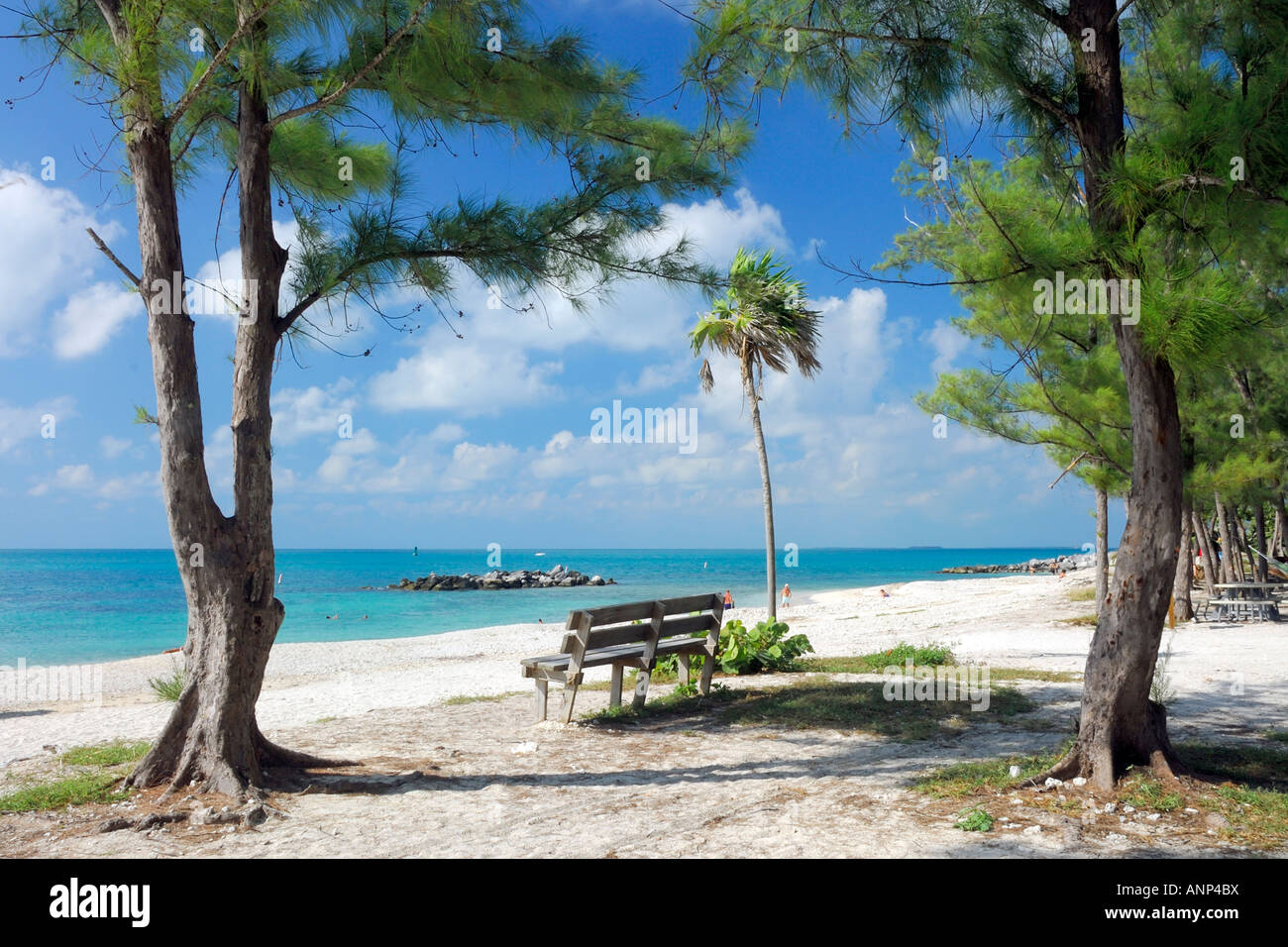 La plage publique de Fort Zachary Taylor State Historic Park à Key West en Floride USA Banque D'Images