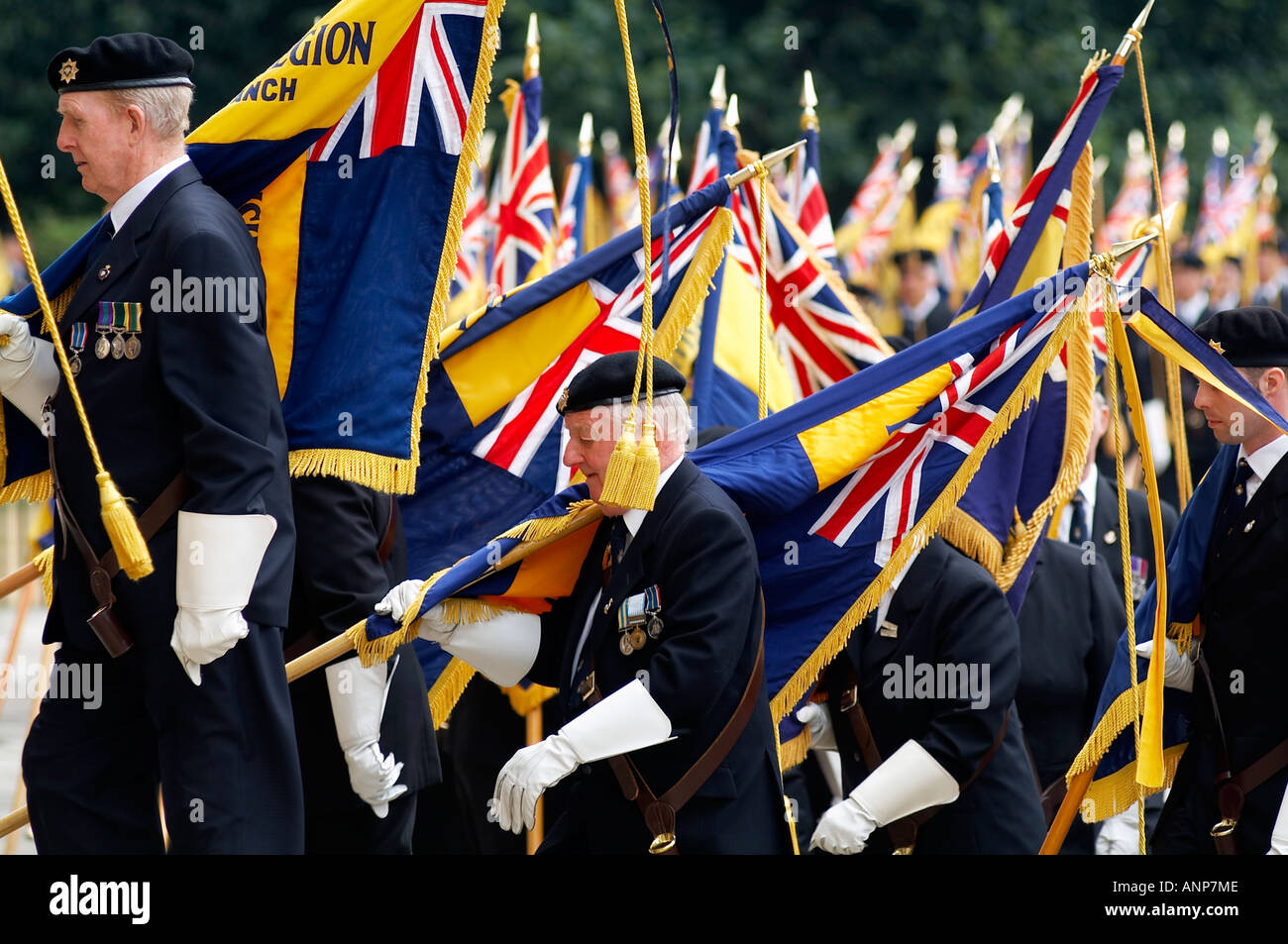 La Légion royale britannique,,, standard, porteurs, drapeau, souvenir, dimanche, jour, coquelicot, pavot, volontaire, de l'organisation, de la guerre, monde, Banque D'Images