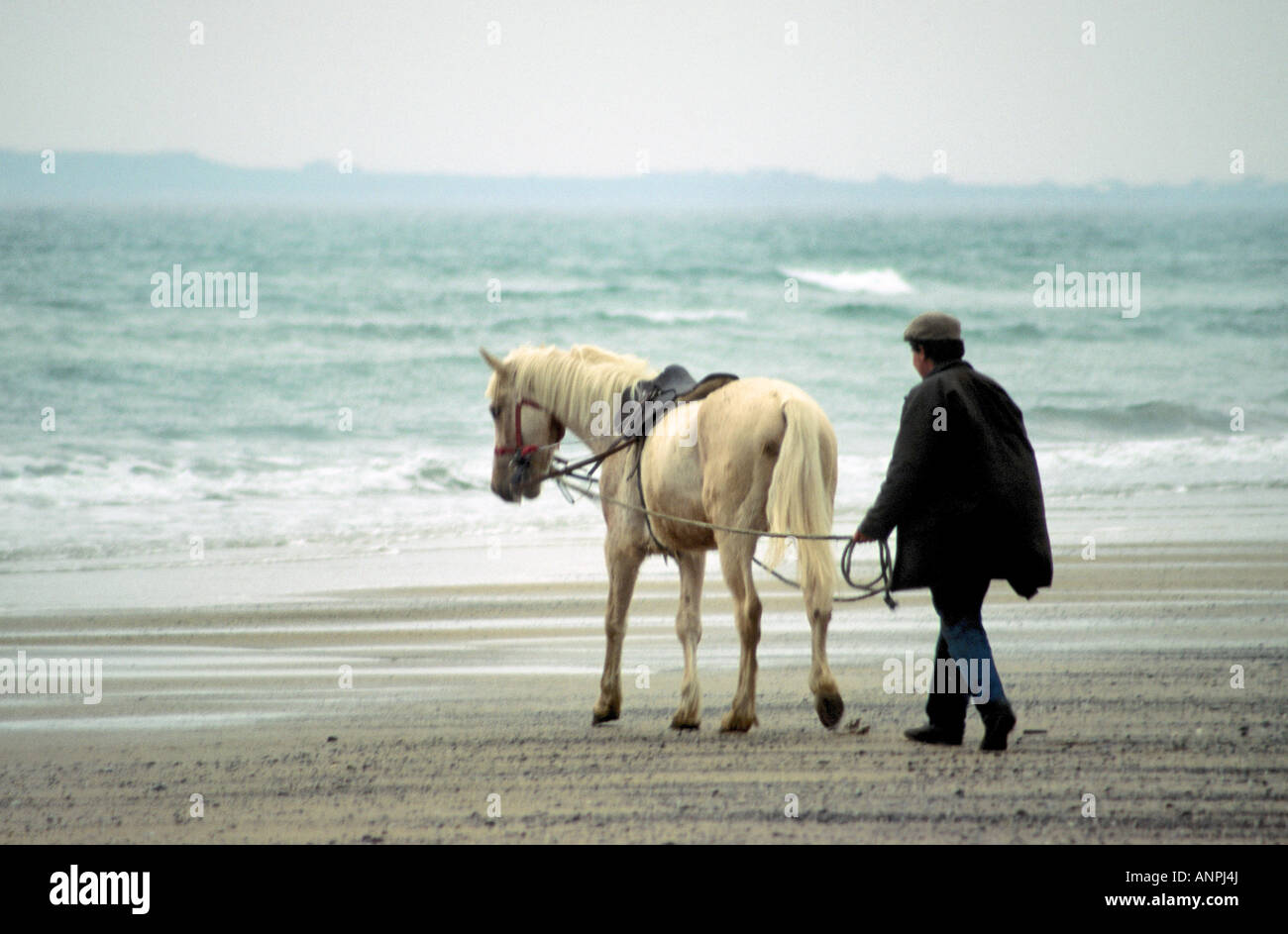 L'homme conduisant un cheval le long de la plage de la Brandon bay Co Kerry, Ireland Banque D'Images