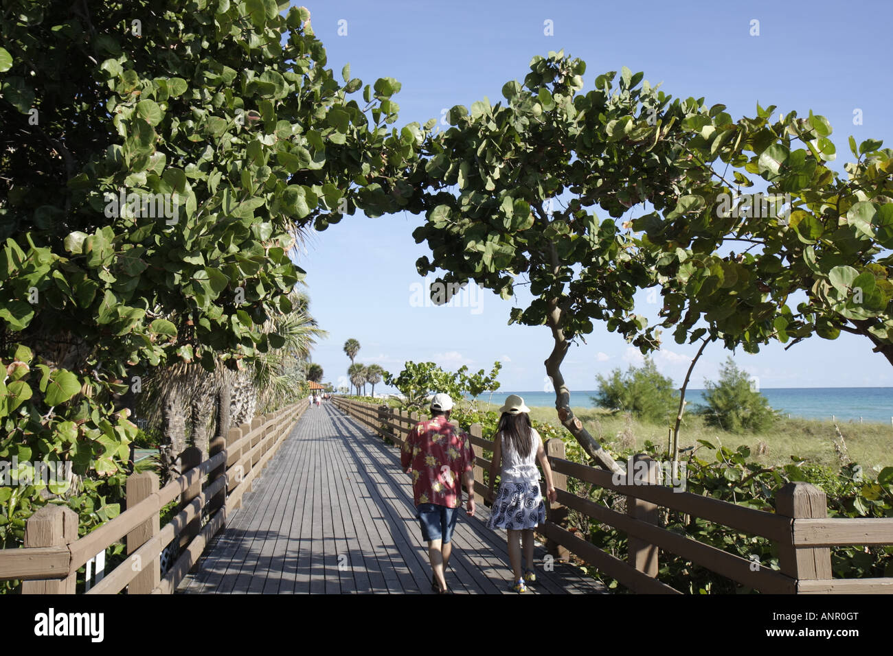 Miami Beach Florida, littoral de l'océan Atlantique, promenade, couple de marche, raisin de mer, FL071227010 Banque D'Images