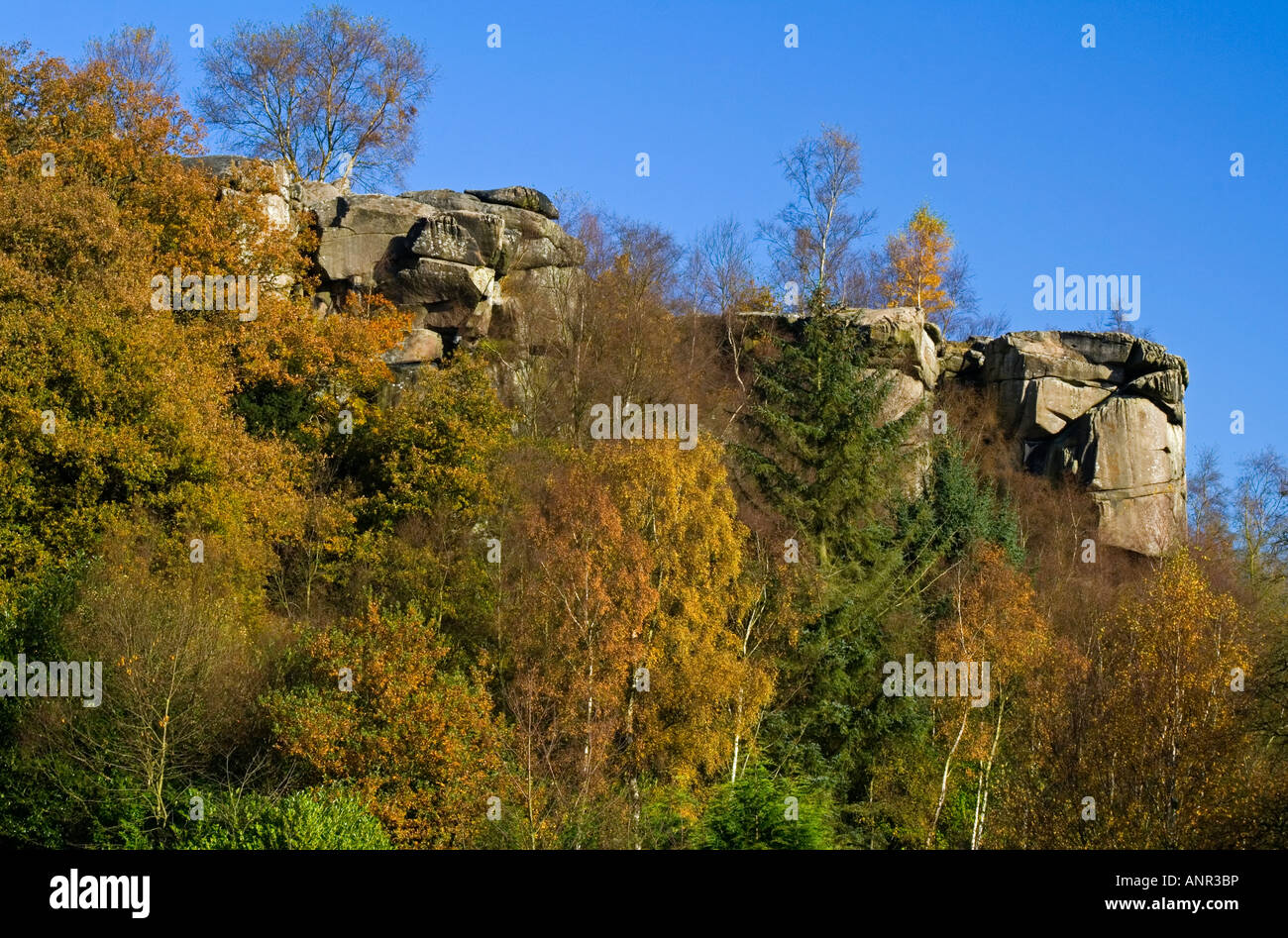 Rock formations à des rochers près de Cratcliffe Birchover dans le parc national de Peak District Derbyshire, Angleterre, Royaume-Uni Banque D'Images