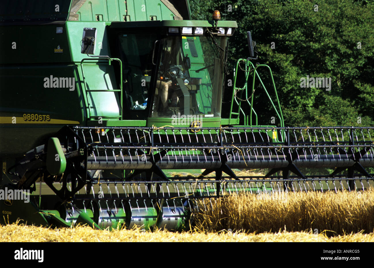 John Deer de coupe de moissonneuse-batteuse de blé sur une ferme à Waldringfield, Suffolk, UK. Banque D'Images