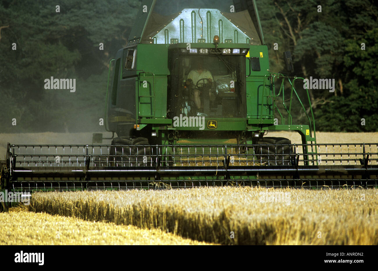 De coupe de moissonneuse-batteuse de blé sur une ferme à Waldringfield, Suffolk, UK. Banque D'Images