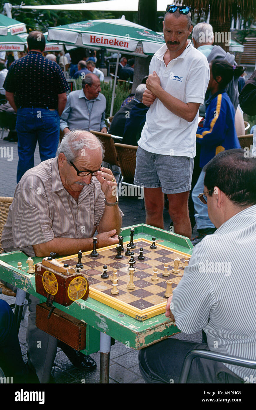 Canarians Local jouant aux échecs sur des tables dans le Parque Santa Catalina Las Palmas Banque D'Images