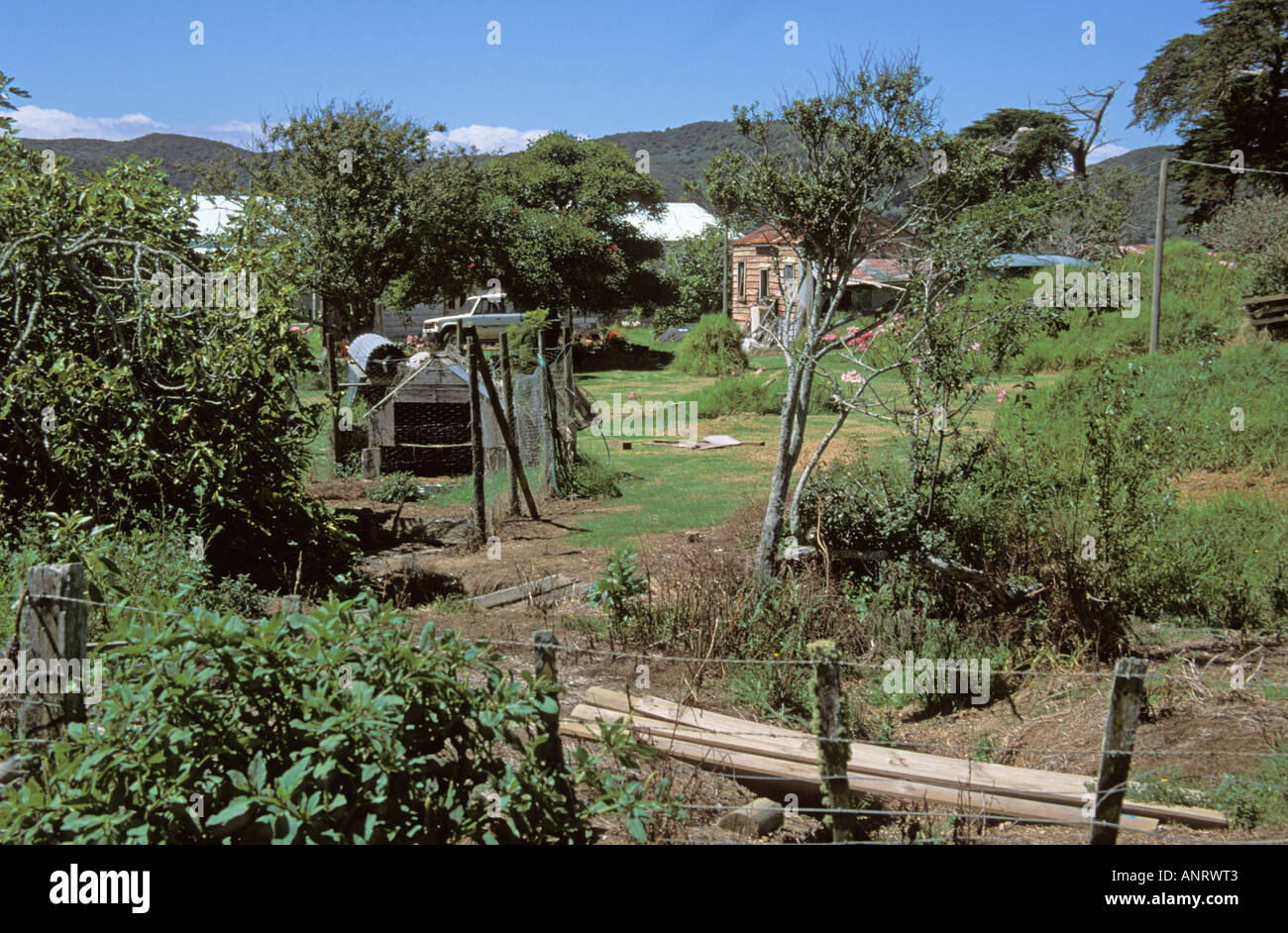 Ferme de moutons en Nouvelle-Zélande Waiheke Island Farmyard Banque D'Images